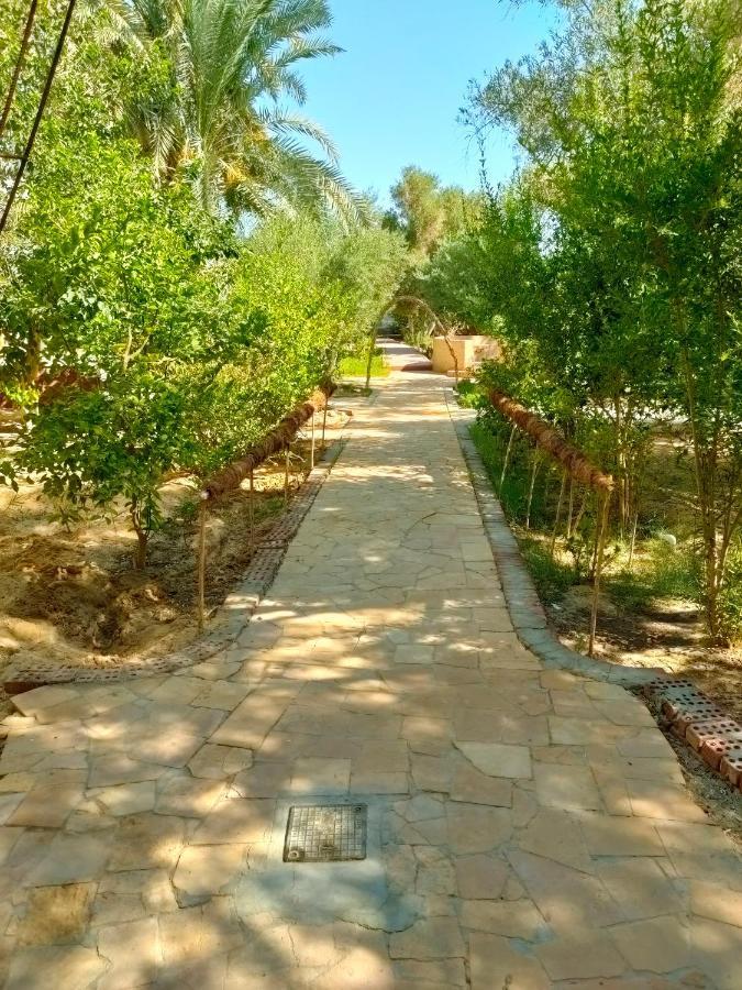 Dream Lodge Siwa Siwa Oasis Exteriör bild