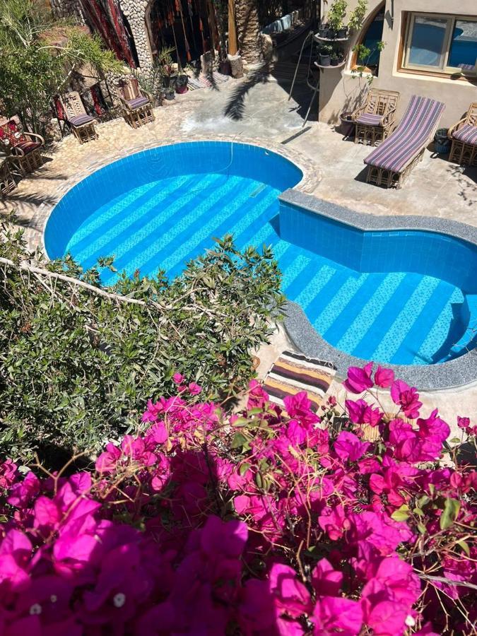 Dream Lodge Siwa Siwa Oasis Exteriör bild